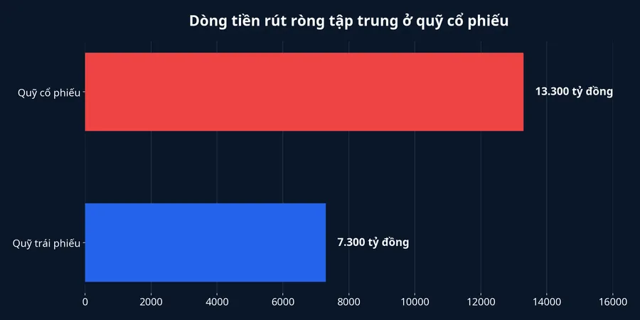 Biểu đồ rút ròng theo loại quỹ