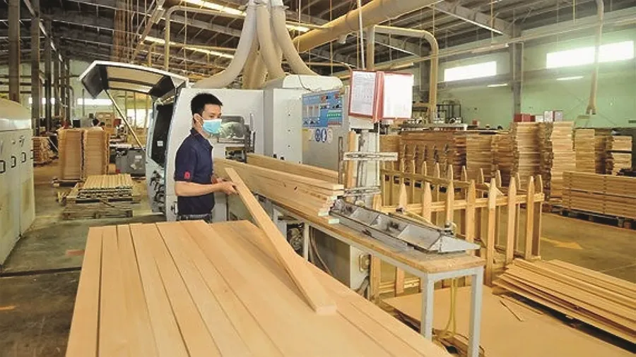 Wide Forests, Too Little Large Timber for Deep Processing
