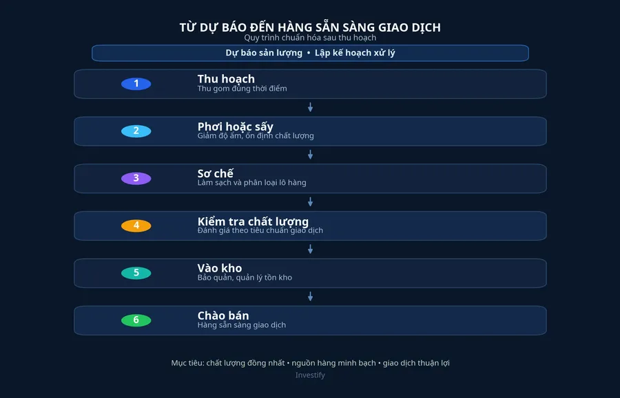 Chuỗi từ dự báo vụ mùa đến cà phê sẵn sàng giao dịch