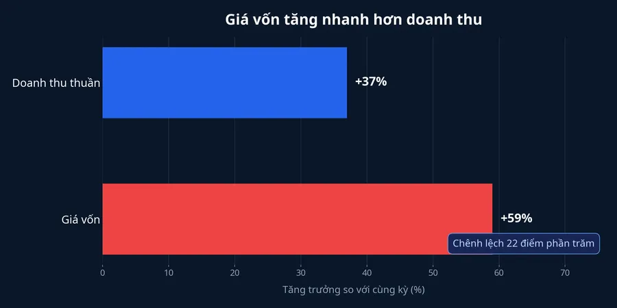Biểu đồ tăng trưởng doanh thu và giá vốn