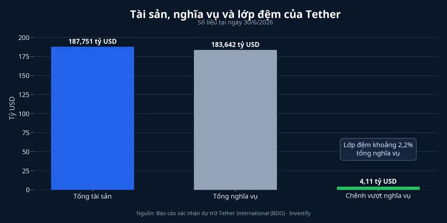Biểu đồ tài sản, nghĩa vụ và lớp đệm của Tether