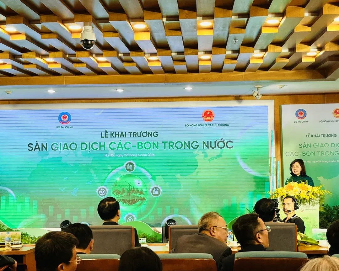 Securities Firms Are the Gateway to Vietnam's Carbon Market