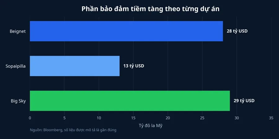 Quy mô phần bảo đảm tiềm tàng theo dự án