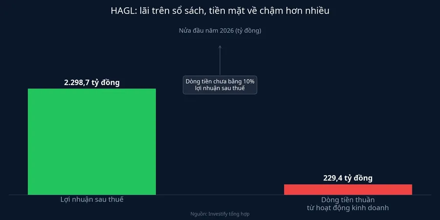 HAGL: lãi trên sổ sách, tiền mặt về chậm hơn nhiều