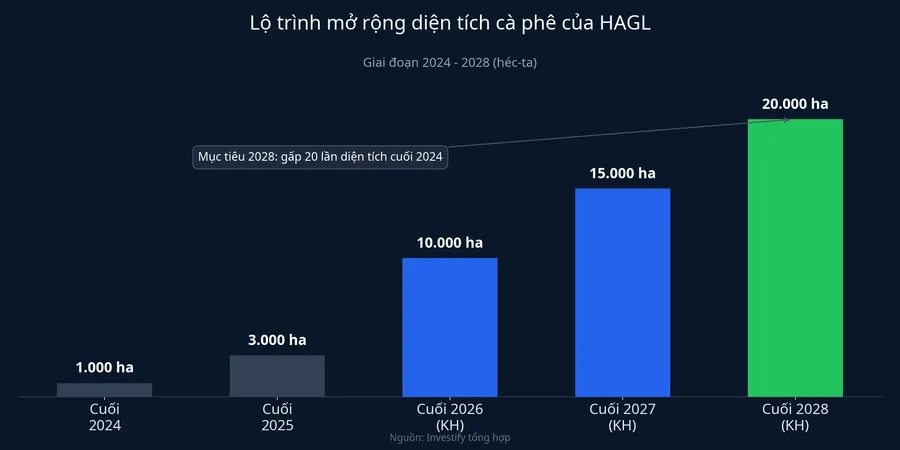 Lộ trình mở rộng diện tích cà phê của HAGL