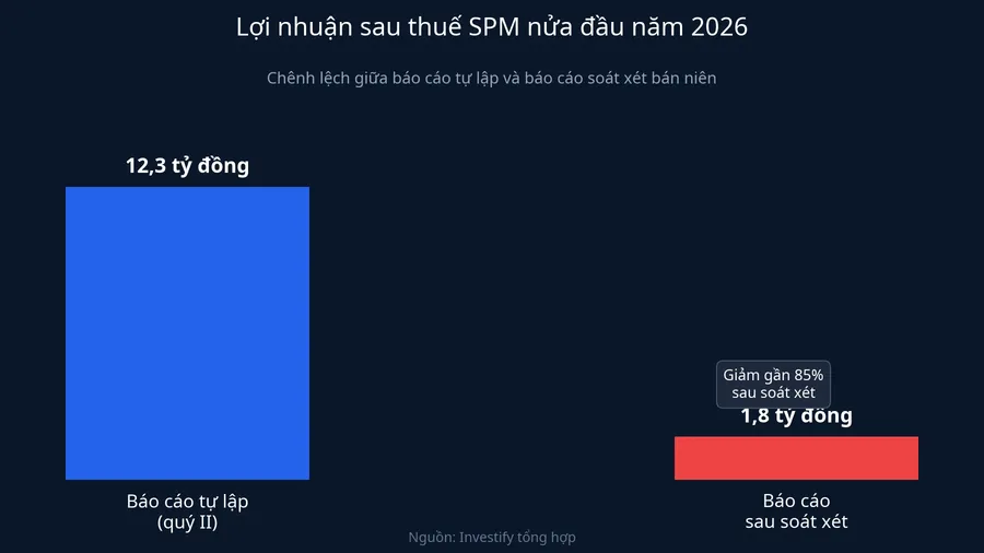 So sánh lợi nhuận sau thuế SPM: báo cáo tự lập và báo cáo soát xét