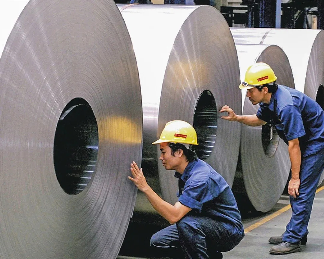 Hoa Sen drops buyback plan, bets on social housing
