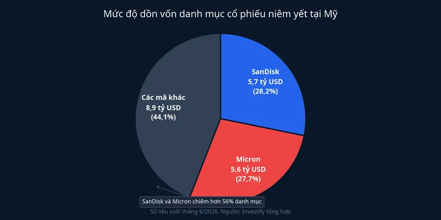 Biểu đồ mức độ dồn vốn: SanDisk và Micron chiếm hơn 56% danh mục