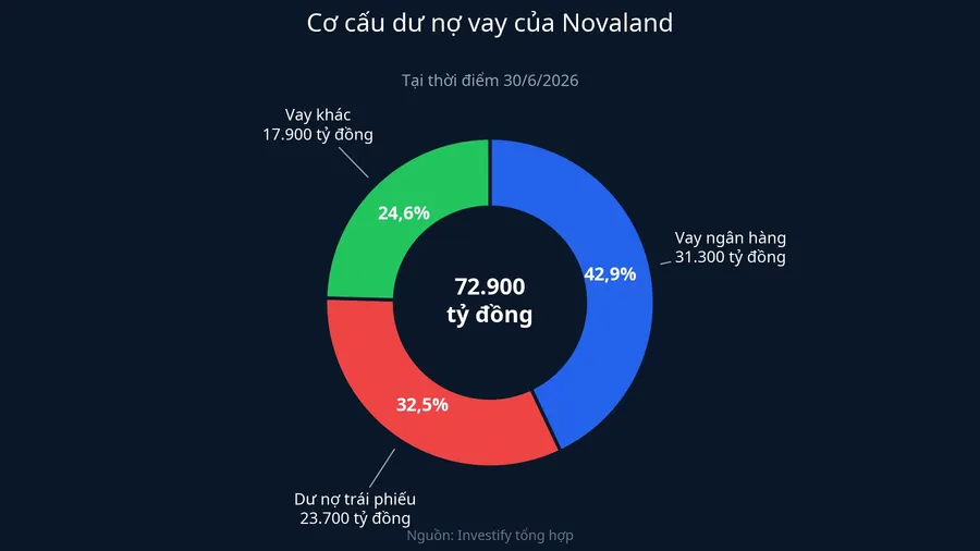 Cơ cấu dư nợ vay của Novaland