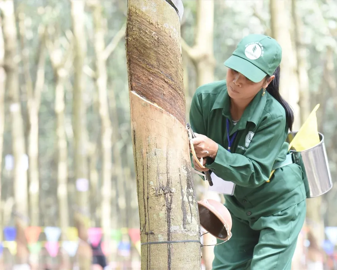 Rubber Hits a 13-Year High: It's Supply, Not Demand