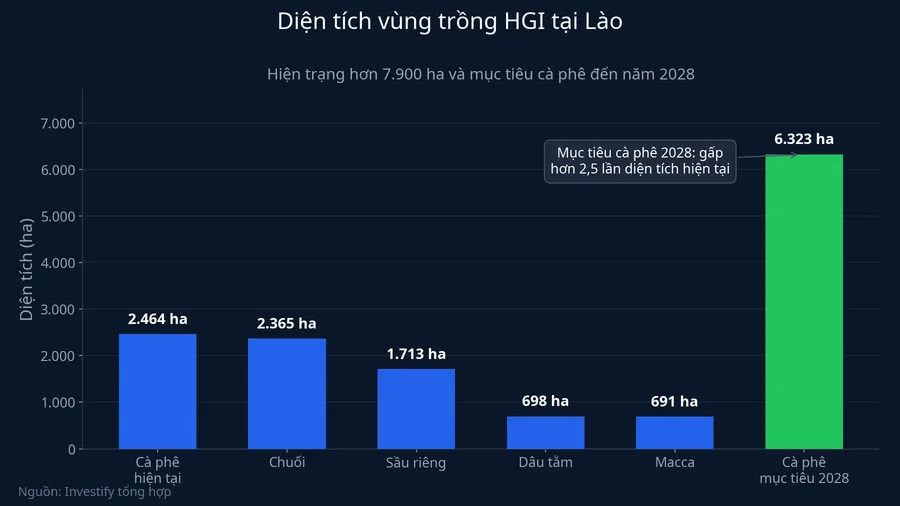 Diện tích vùng trồng HGI tại Lào, hiện trạng và mục tiêu cà phê 2028