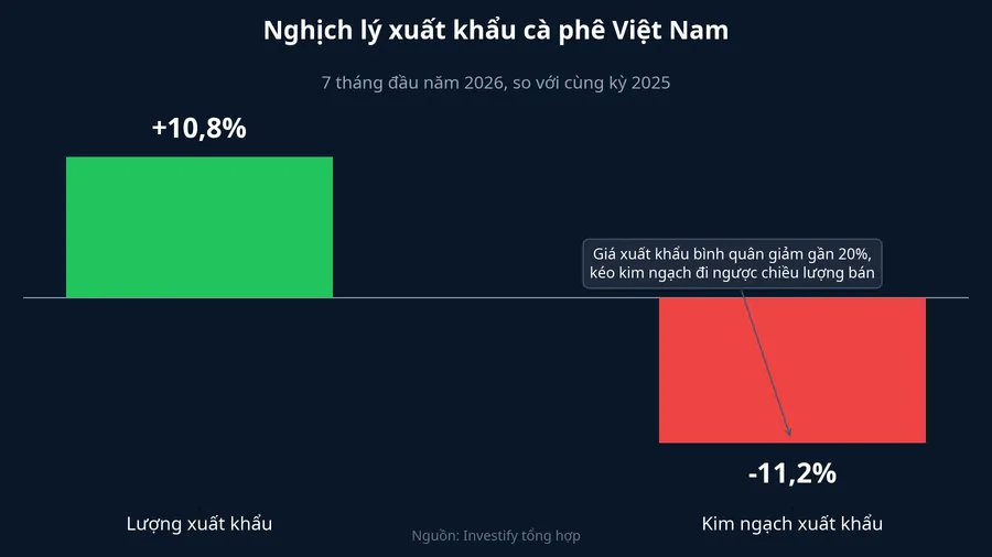 Xuất khẩu cà phê Việt Nam 7 tháng đầu năm 2026: lượng tăng, kim ngạch giảm