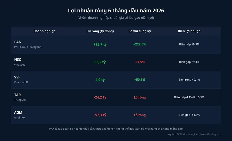 Lợi nhuận ròng 6 tháng đầu năm 2026 của nhóm doanh nghiệp lúa gạo