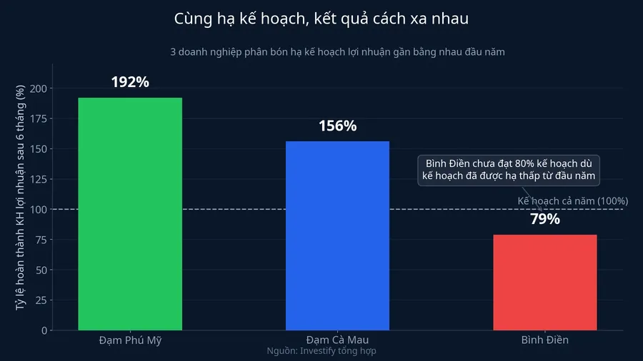 Ba doanh nghiệp phân bón cùng hạ kế hoạch nhưng tỷ lệ hoàn thành cách xa nhau