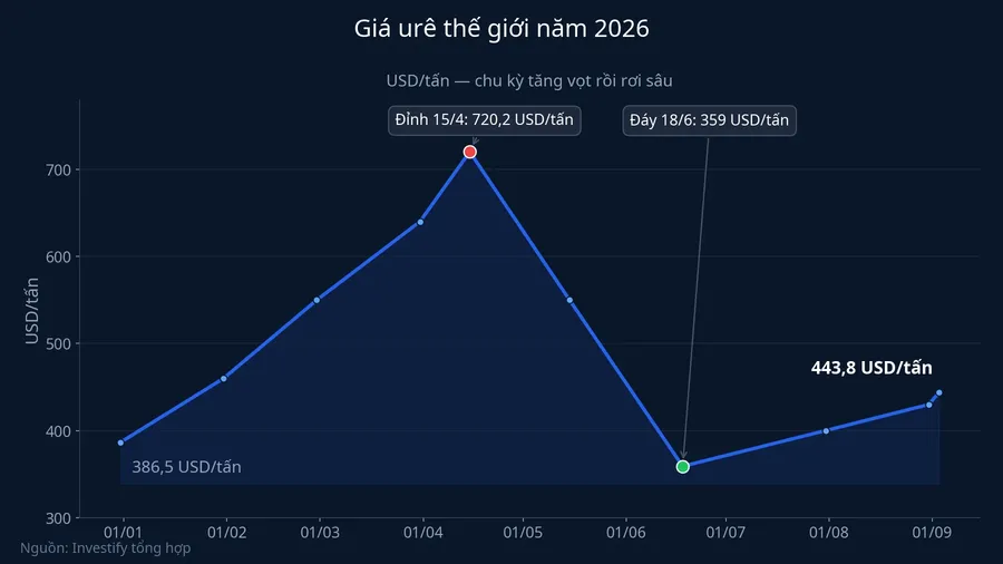 Diễn biến giá urê thế giới năm 2026