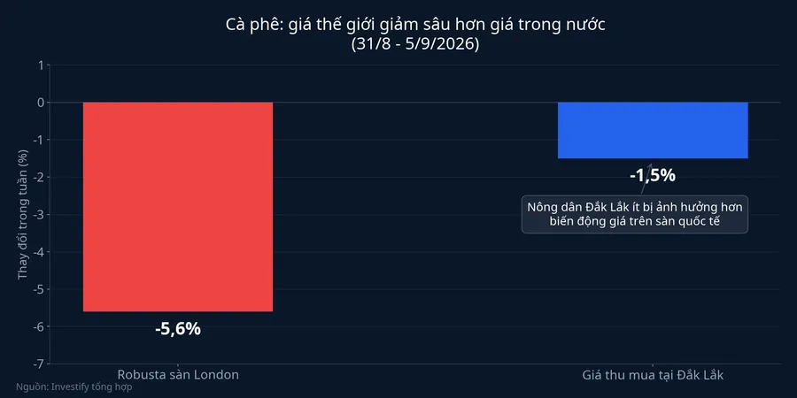 Mức giảm giá cà phê trong tuần: London giảm 5,6%, Đắk Lắk giảm 1,5%