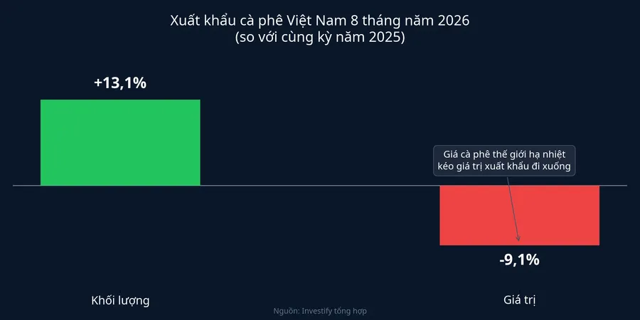 Xuất khẩu cà phê Việt Nam 8 tháng 2026: khối lượng tăng 13,1%, giá trị giảm 9,1%