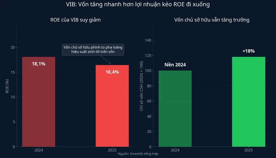 VIB: Vốn tăng nhanh hơn lợi nhuận kéo ROE đi xuống