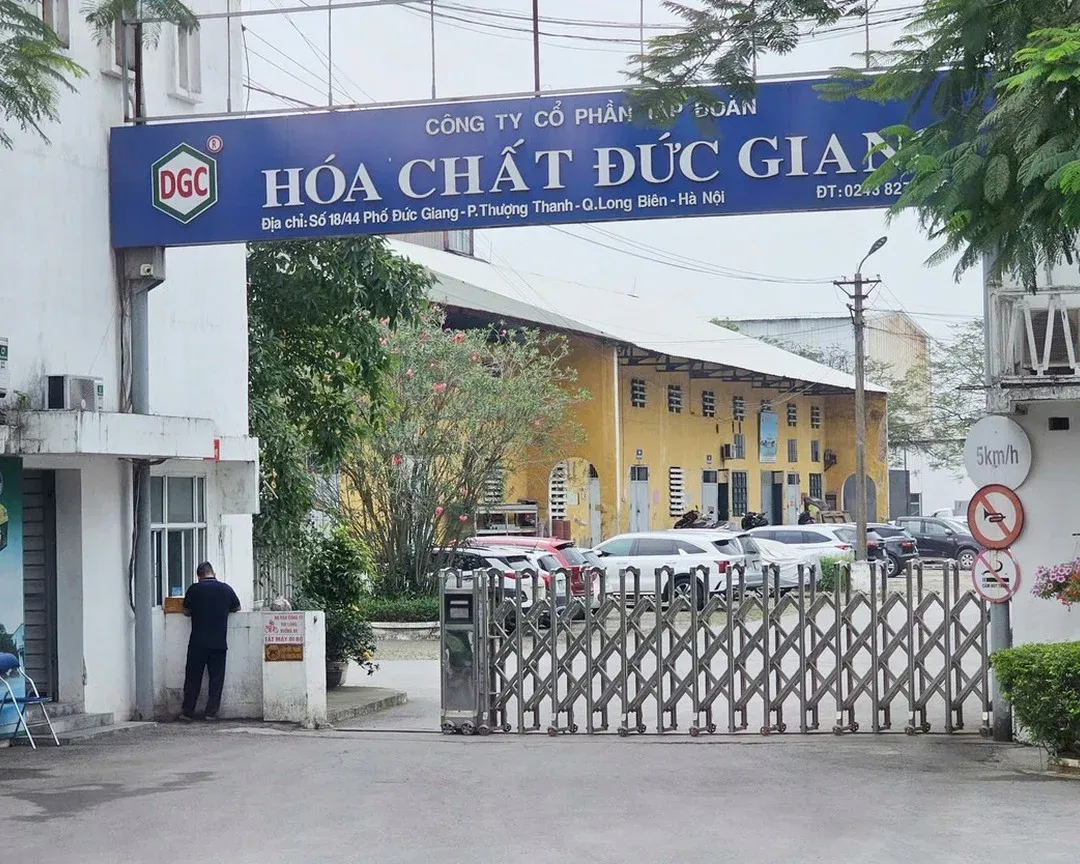 Cổ tức 120% hay 17,7%: Đọc đúng con số bạn nhận được
