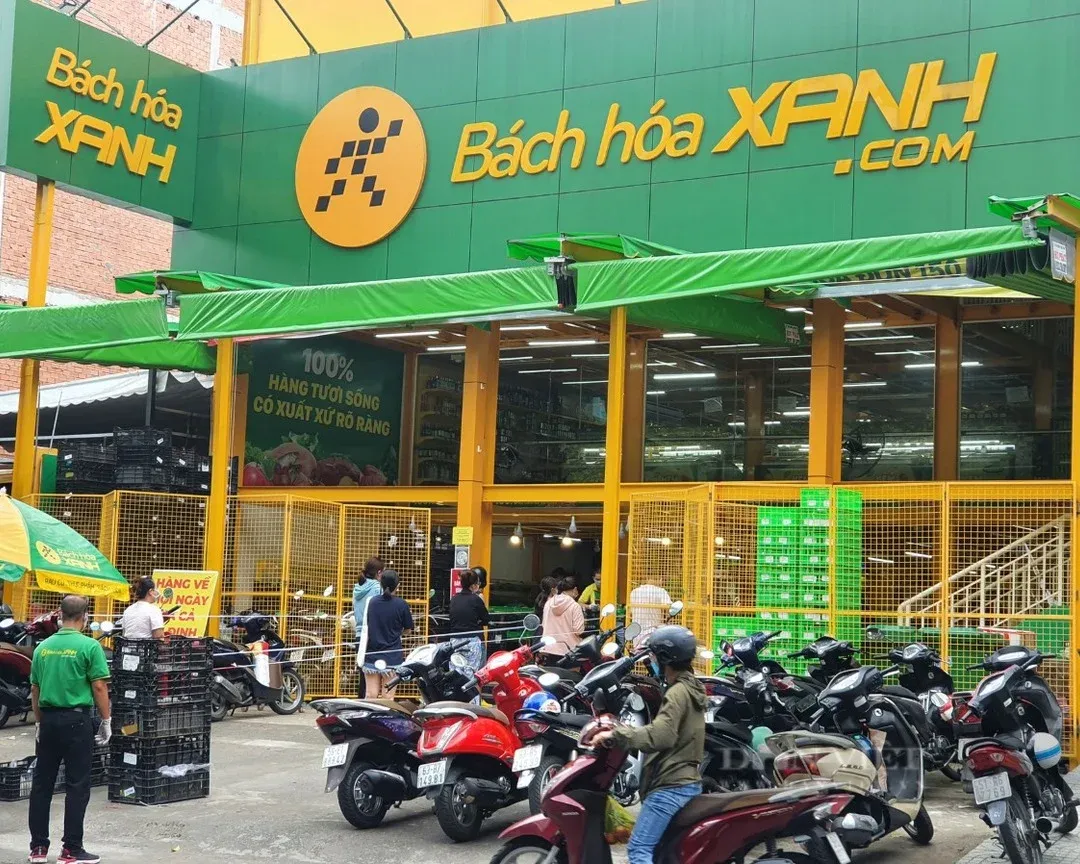 Bách Hóa Xanh thu 6.200 tỷ, năng suất mỗi cửa hàng vẫn tăng