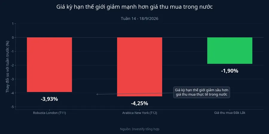 So sánh mức giảm robusta London, Arabica New York và giá thu mua Đắk Lắk trong tuần 14-18/9