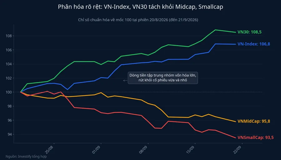 VN-Index và VN30 tách khỏi Midcap, Smallcap