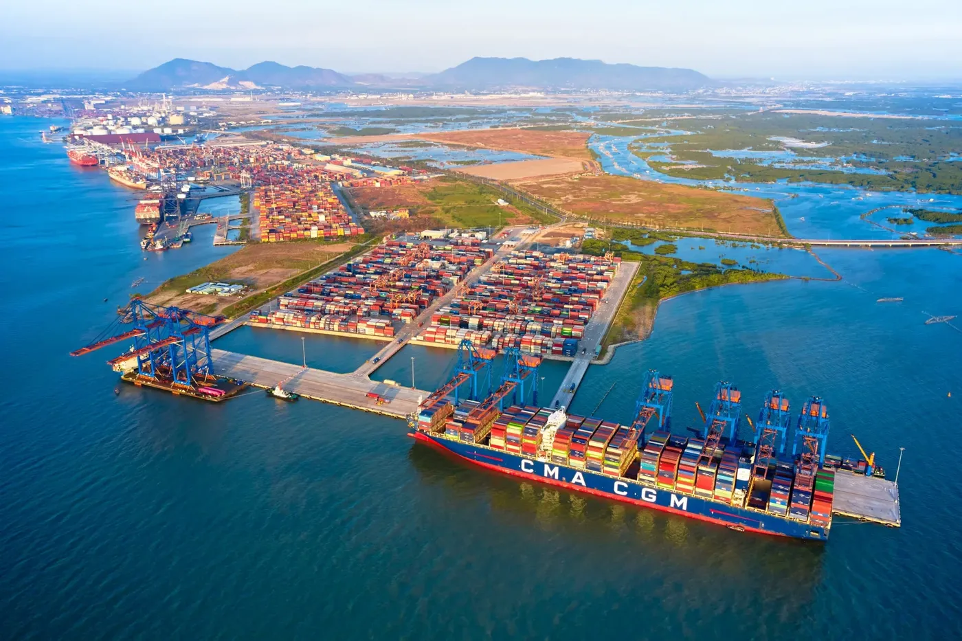 Hàng qua cảng tăng vừa phải, lãi dự báo tăng 65-86%