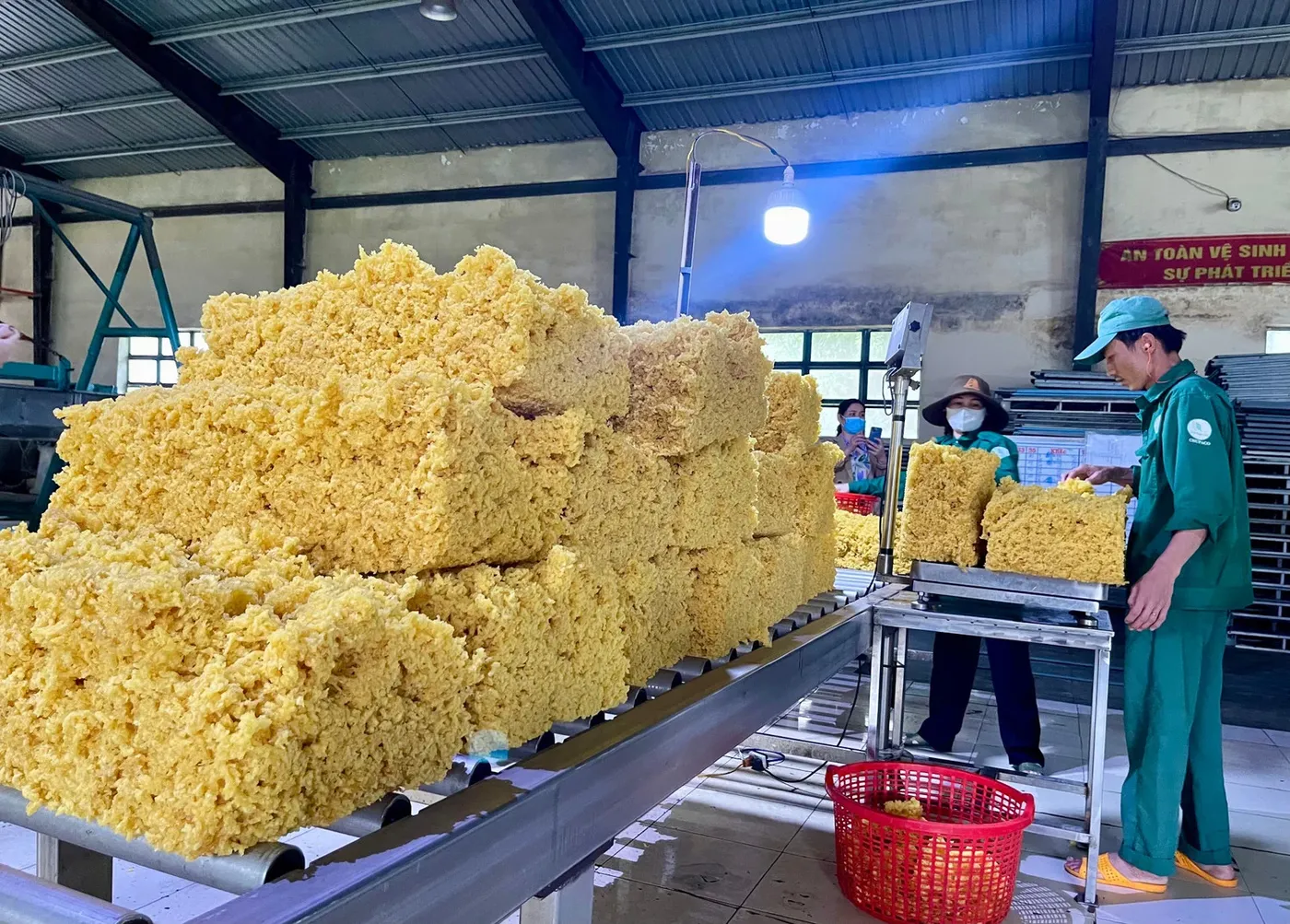 Cao su đỉnh 13 năm: mã lãi nhờ mủ, mã lãi nhờ đất