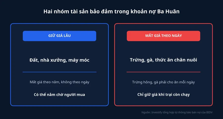 Hai nhóm tài sản bảo đảm: đất, nhà xưởng giữ giá lâu; trứng, gà, thức ăn mất giá theo ngày