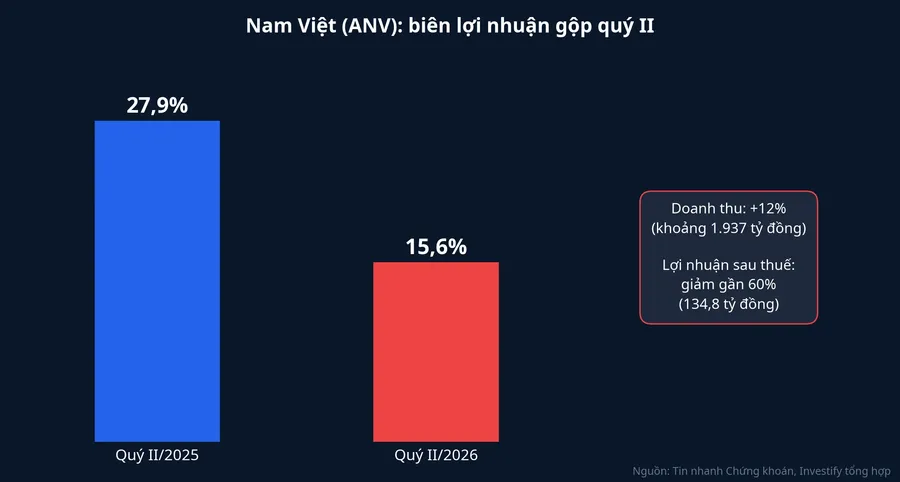Biên lợi nhuận gộp quý II của Nam Việt giảm từ khoảng 27,9% xuống 15,6%