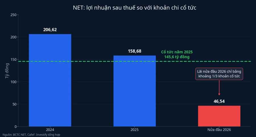 Lợi nhuận sau thuế của NET so với khoản chi cổ tức
