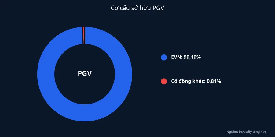 Cơ cấu sở hữu PGV: EVN 99,19%
