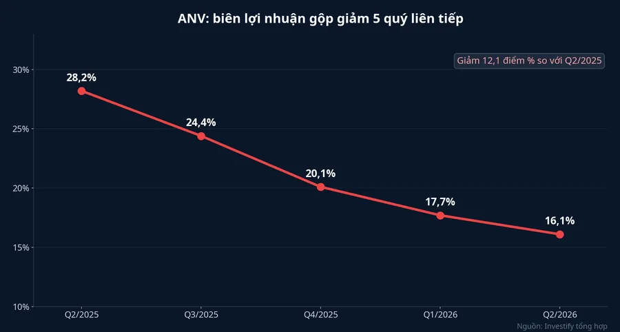 Biên lợi nhuận gộp của ANV giảm năm quý liên tiếp