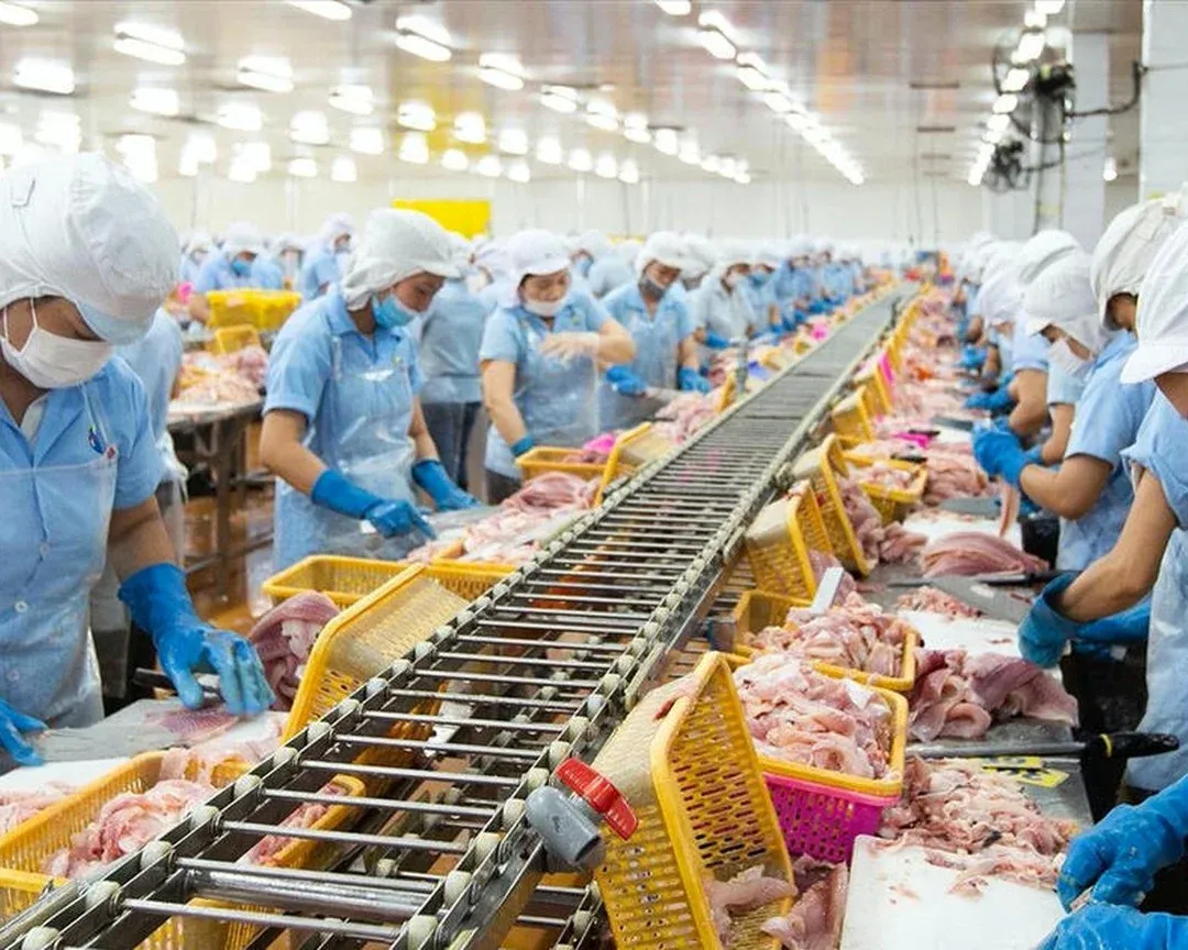 Nam Viet holds its VND 1,000 dividend as H1 profit falls 29%