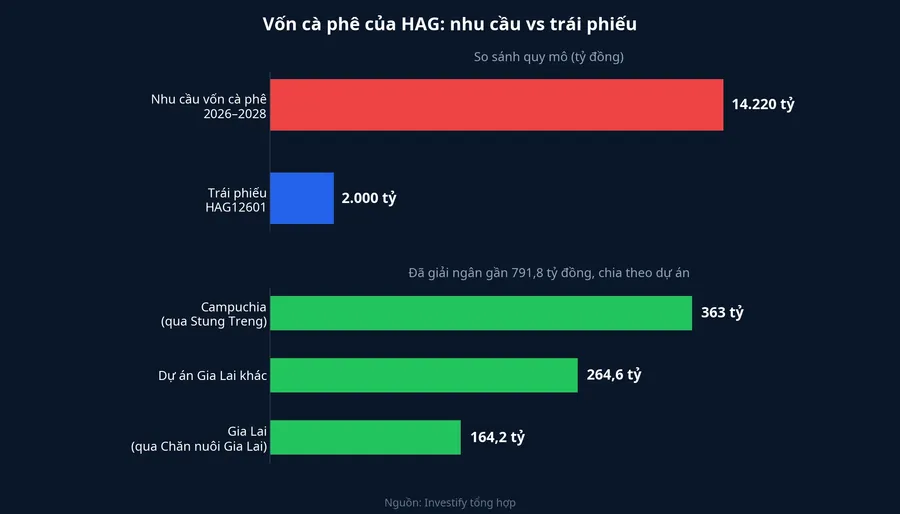 Nhu cầu vốn cà phê 2026–2028 so với trái phiếu HAG12601 và các khoản đã giải ngân