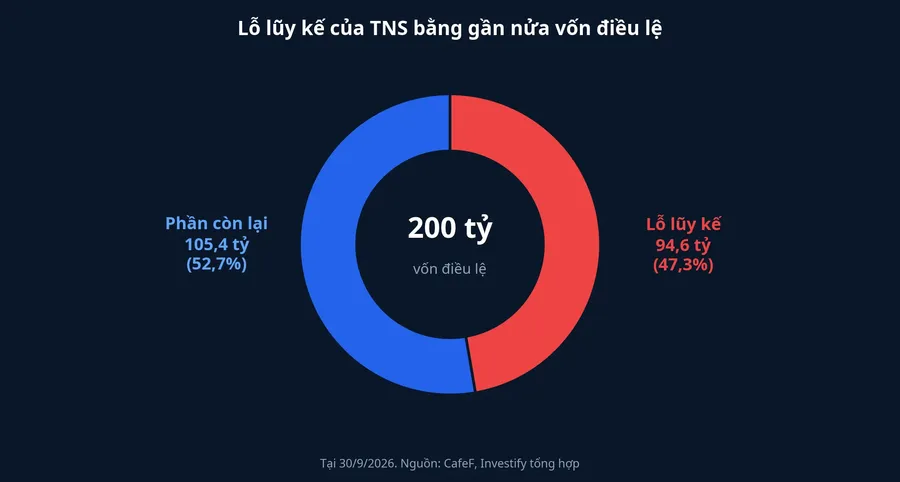Lỗ lũy kế của TNS so với vốn điều lệ 200 tỷ đồng