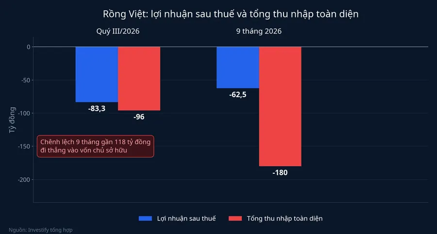 Lợi nhuận sau thuế và tổng thu nhập toàn diện của Rồng Việt