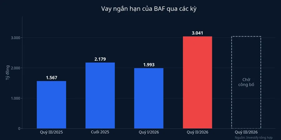 Vay ngắn hạn của BAF qua các kỳ