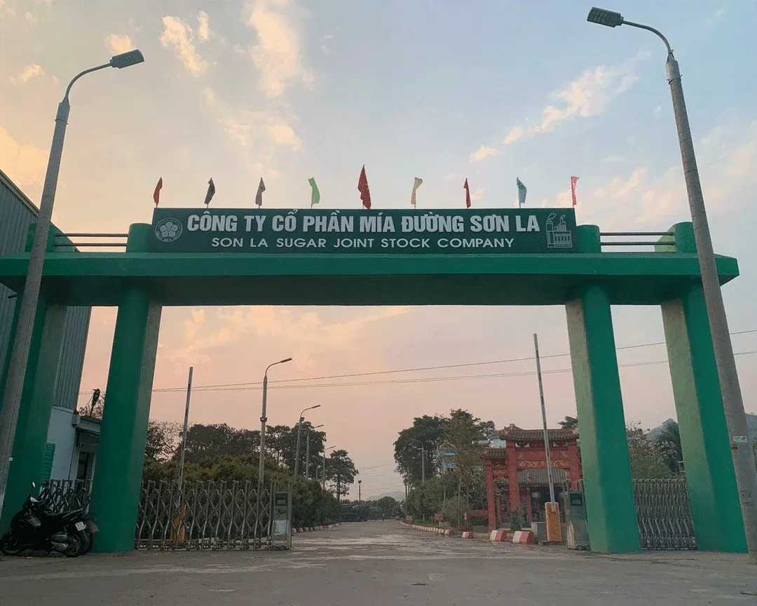 SLS chia 98 tỷ đồng cổ tức, bằng khoảng 51% lãi niên độ