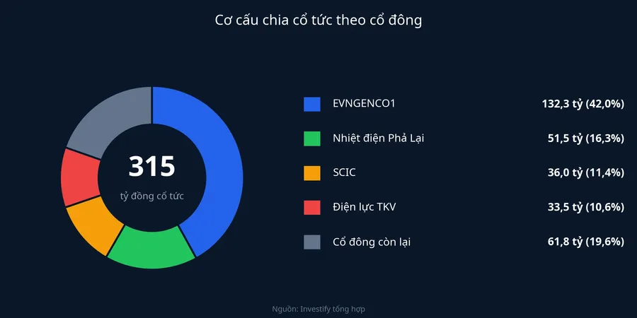 Cơ cấu chia 315 tỷ đồng cổ tức theo cổ đông