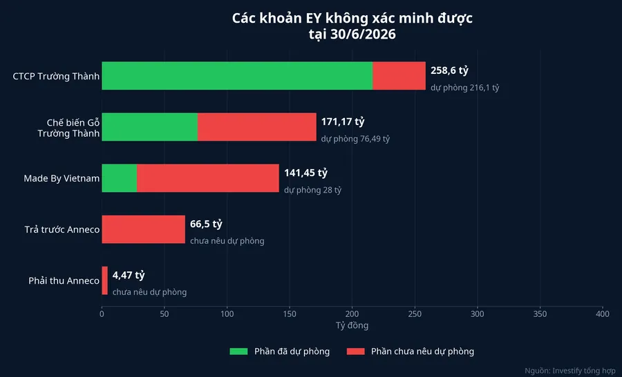 Các khoản EY không xác minh được tại 30/6/2026, kèm phần đã dự phòng