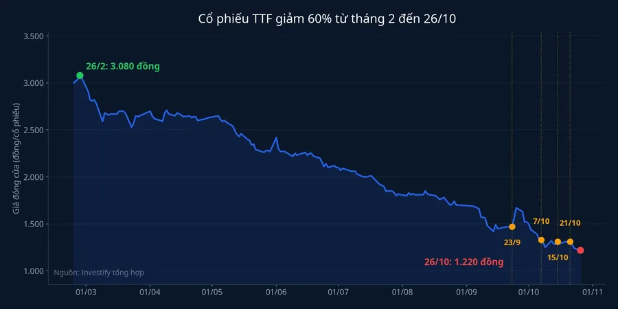 Giá đóng cửa cổ phiếu TTF từ tháng 2 đến 26/10, kèm các mốc xử lý