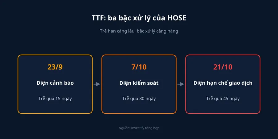 Ba bậc xử lý của HOSE với cổ phiếu TTF theo số ngày chậm nộp báo cáo bán niên