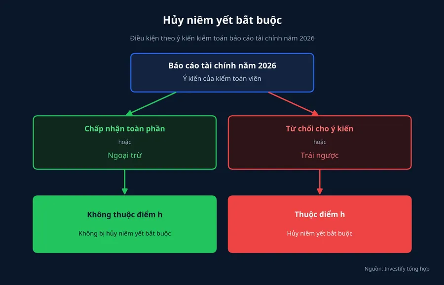 Hai nhánh ý kiến kiểm toán báo cáo năm 2026 và hệ quả theo điểm h