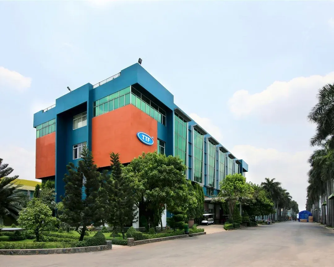 TTF's HoSE Listing Now Hinges on the 2026 Audit Opinion